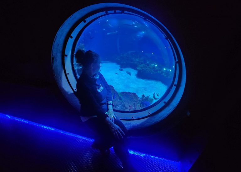 Auf Du und Du mit stoischen Fischen und munteren Äffchen